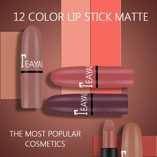Matte Lipstick Plum Red Nude Beige Brown