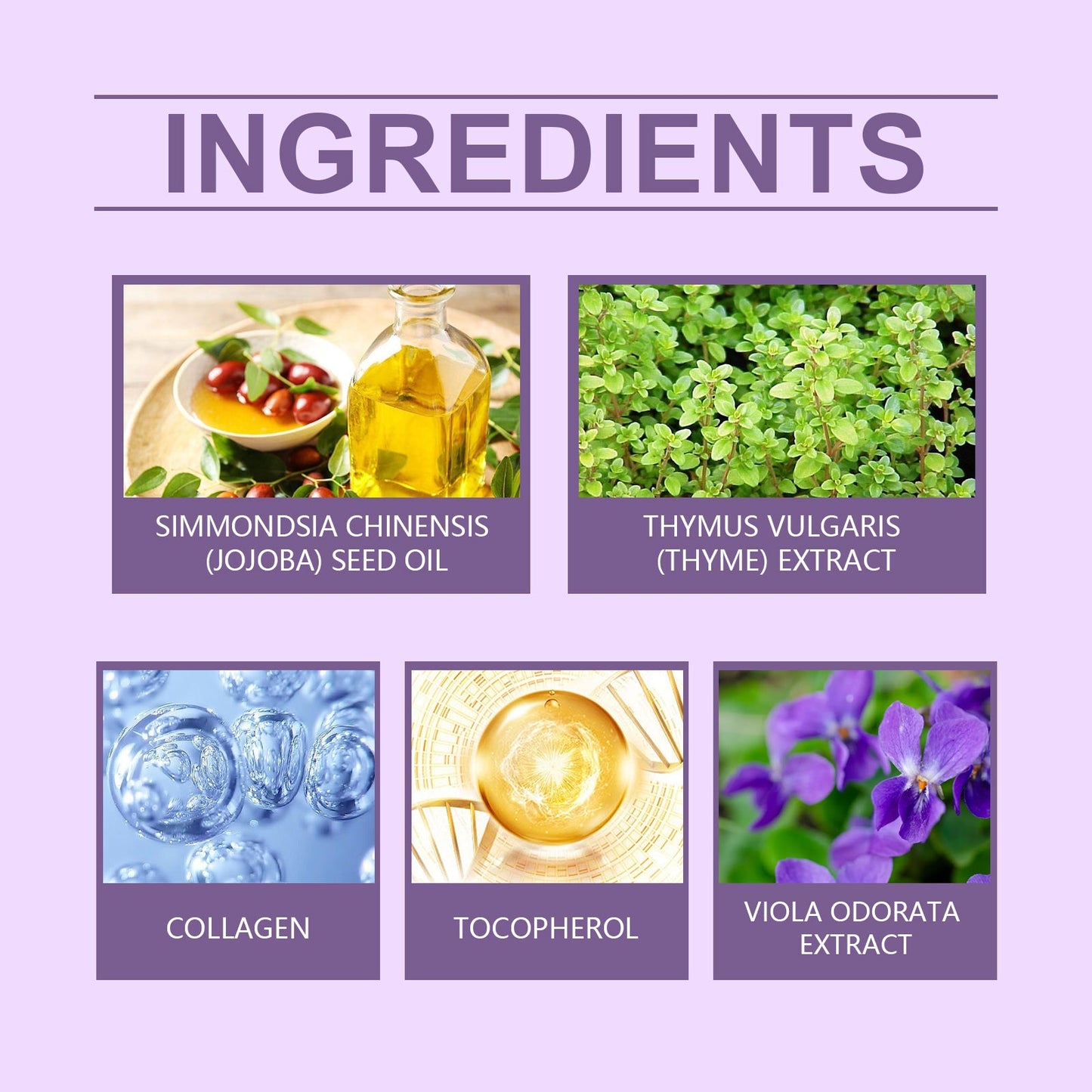 Nourishing Purple Conditioner for Dry Hair