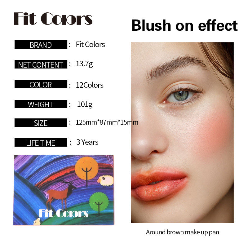 Fit Colors 12-Color Comprehensive Makeup Palette